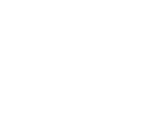 Static Image 5